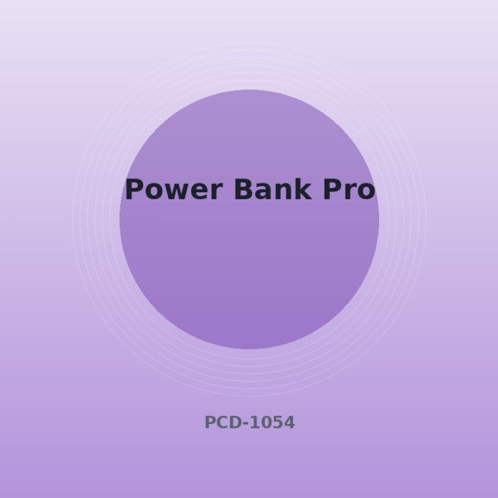 Batterie externe Pro